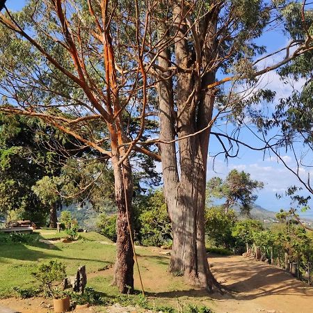 La Maima Villa Dapa Bagian luar foto